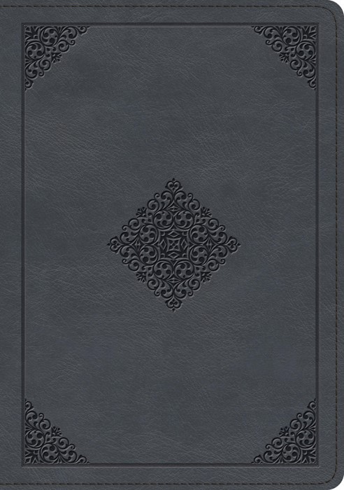 ESV Large Print Wide Margin Bible (Trutone, Slate Blue)