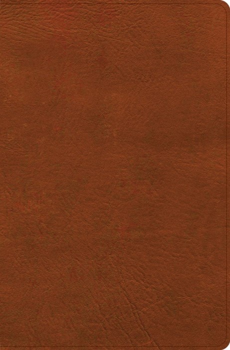 CSB Giant Print Reference Bible, Digital Study Edition