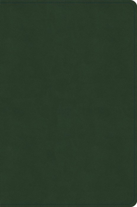 CSB Oswald Chambers Bible, Olive Leathertouch