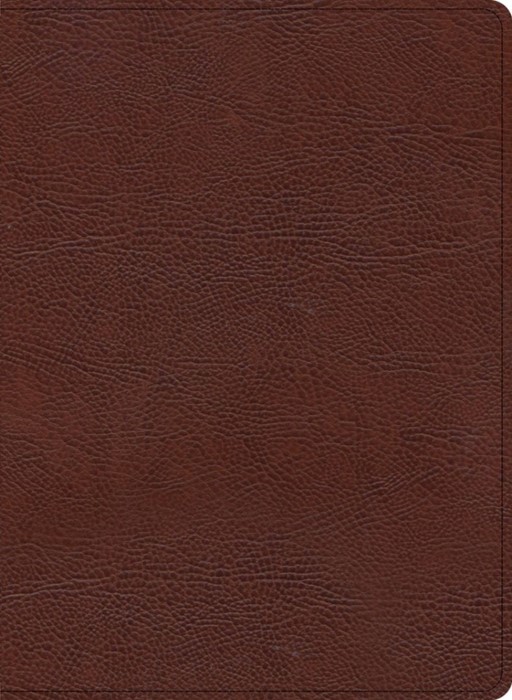 KJV Study Bible, Large Print Edition, Brown Bonded Leather