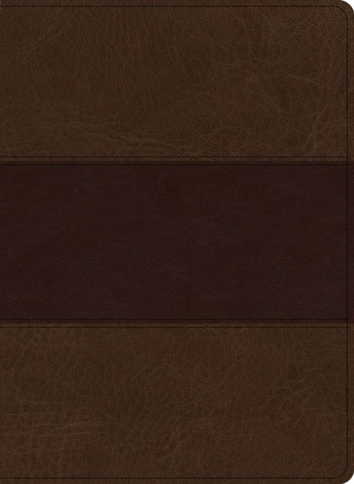 KJV Study Bible, Large Print Edition, Saddle Brown