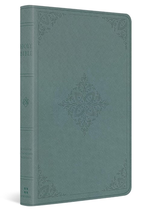 ESV Value Thinline Bible (Trutone, Paris Sky, Fleur-De-Lis)