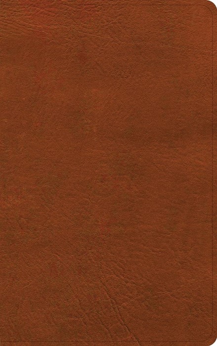NASB Single-Column Personal Size Bible, Burnt Sienna Leather