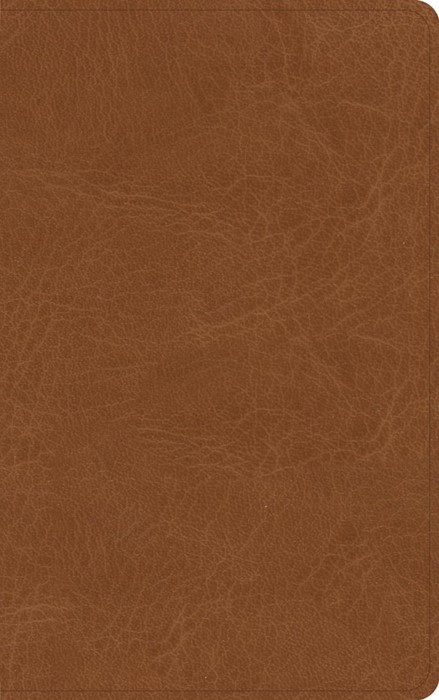 NASB Single-Column Personal Size Bible, Tan Genuine Leather