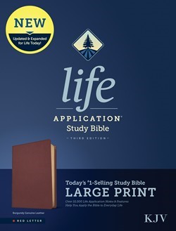 KJV Life Application Study Bible, Third Edition, Large Print