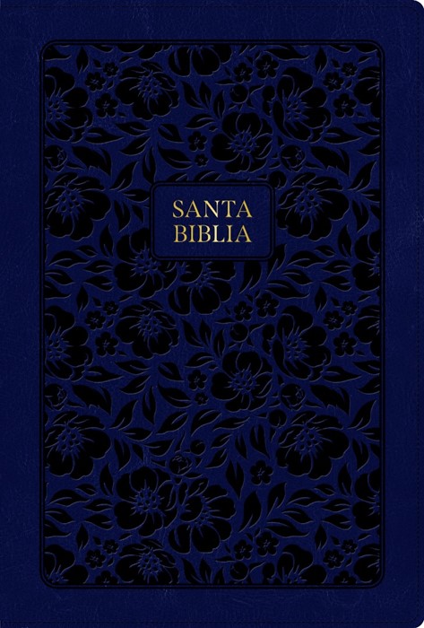 RVR 1960 Biblia Letra Grande Tamaño Manual Edición Especial