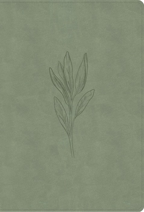 NASB Super Giant Print Reference Bible, Sage Suedesoft