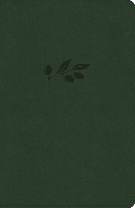 KJV Personal Size Giant Print Bible, Olive Indexed