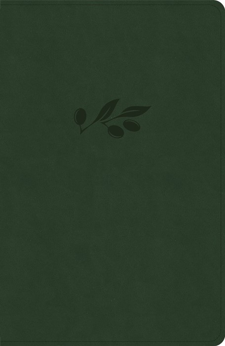 CSB Personal Size Giant Print Bible, Olive