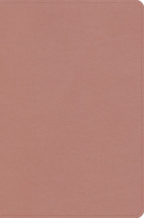 CSB Study Bible, Personal Size Edition, Rose Gold