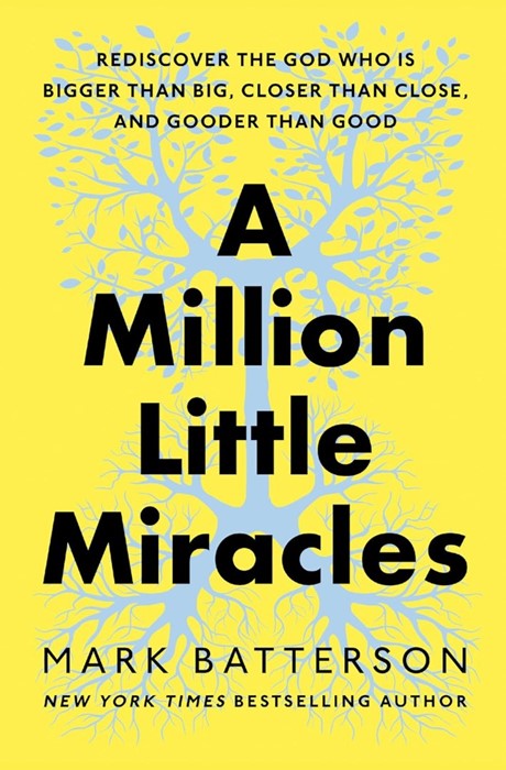 Million Little Miracles, A