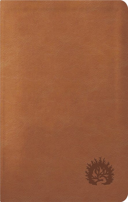 La Biblia De Estudio De La Reforma, Edición Condensada
