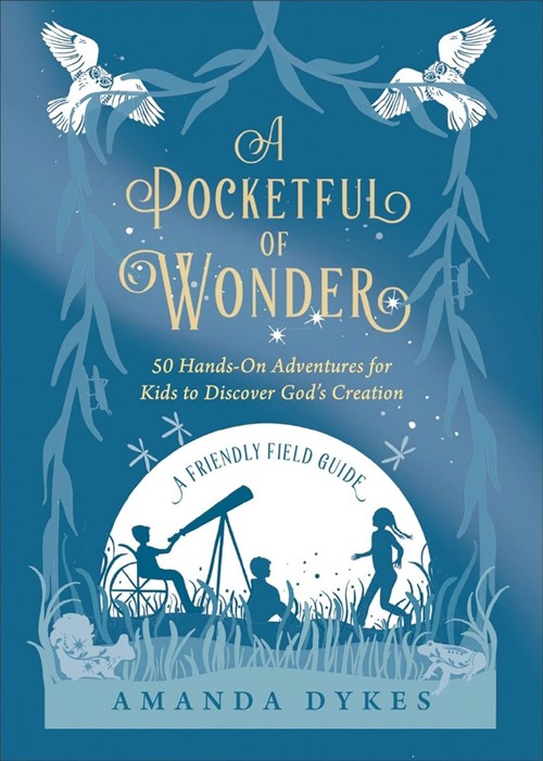 Pocketful of Wonder, A