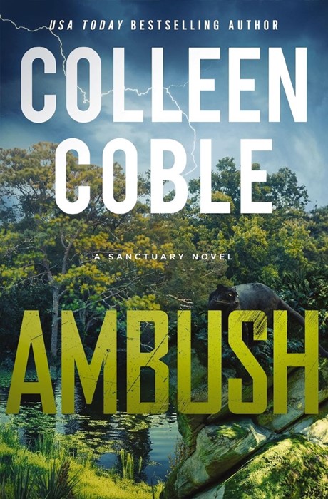 Ambush