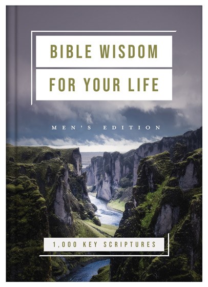 Bible Wisdom For Your Life: Men'S Edition