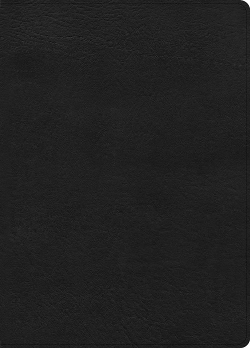 CSB Study Bible, Large Print Edition, Black Leathertouch (9798384526230 ...