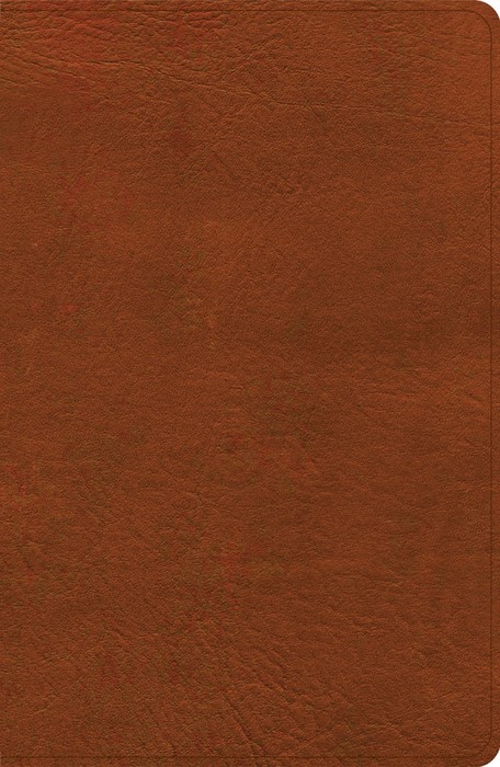 NASB Personal Size Giant Print Bible, Burnt Sienna