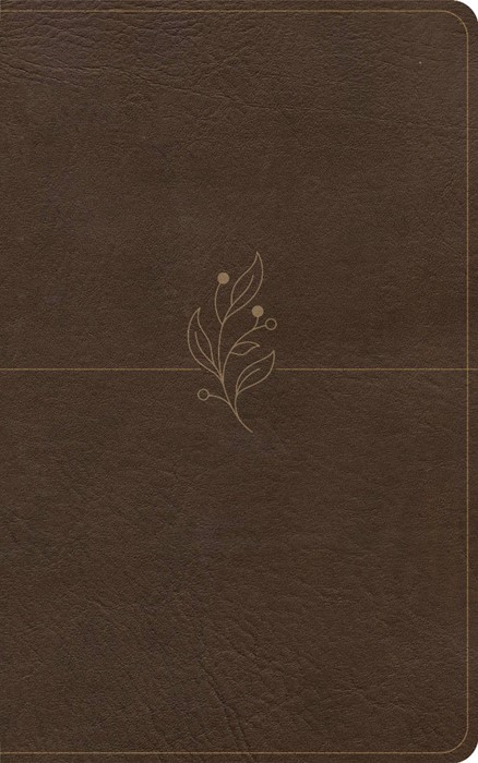 CSB Single-Column Personal Size Bible, Digital Study Edition