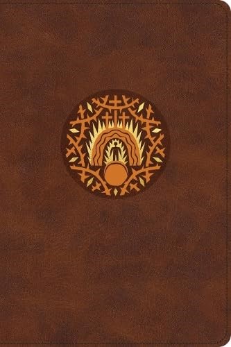 The Biggest Story Holy Bible for Kids Brown, Indexed