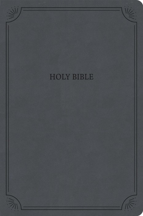 NASB Large Print Thinline Bible, Value Edition, Charcoal