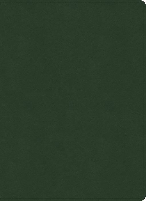 NASB Study Bible, Olive Leathertouch