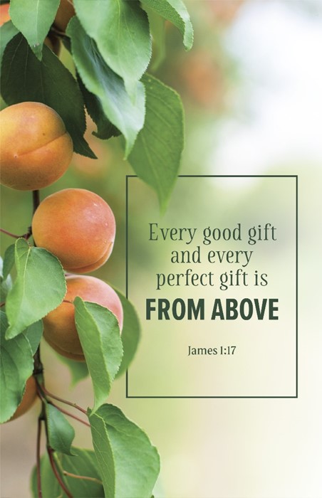 Evangelism Bulletin: Every (Pack of 100)