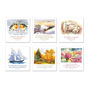 Mixed Greeting Cards (pack of 6)