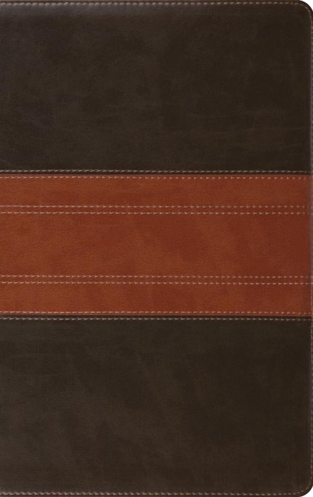 ESV Giant Print Personal Size Bible, Forest/Tan