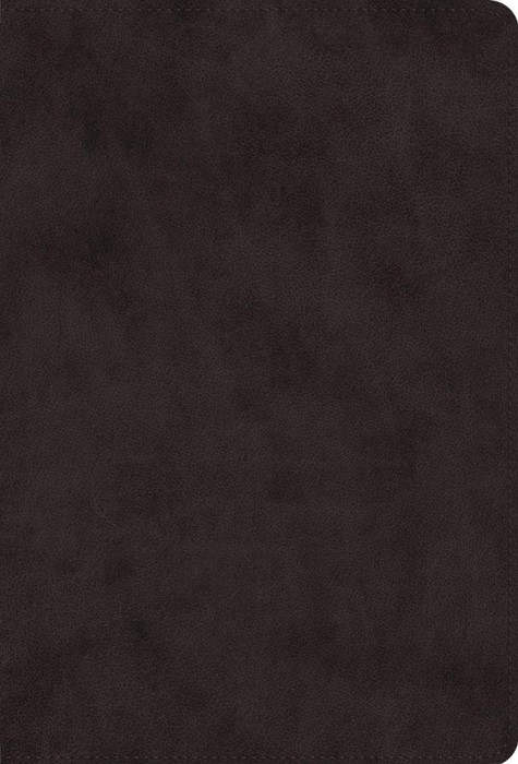 ESV Giant Print Value Thinline Bible, Black