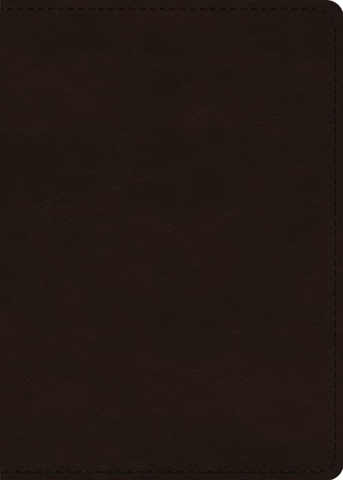 ESV Large Print Value Personal Size Bible, Red Letter