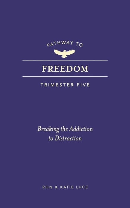 Pathway to Freedom: Trimester Five