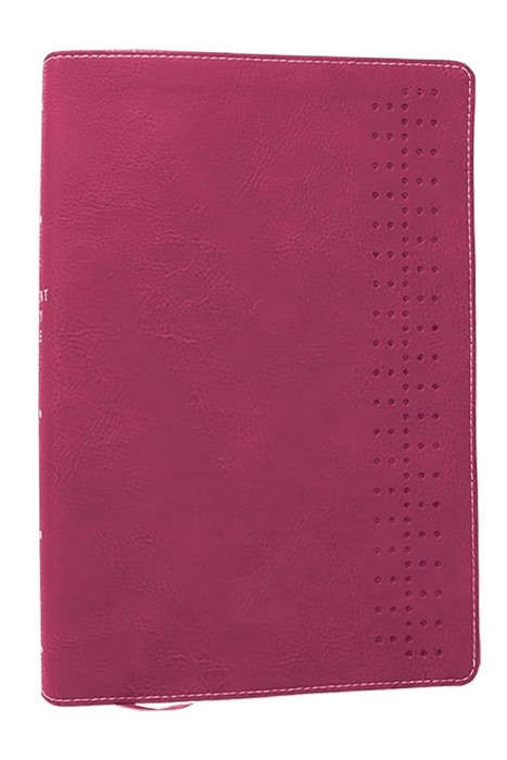 Student Study Bible: A Guide To Knowing And Living God’s Wor