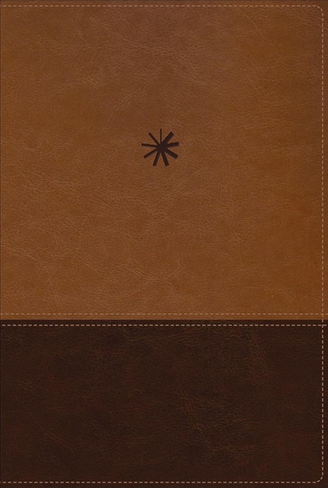 NBLA, Biblia CronolóGica De Estudio, Interior A Cuatro Color