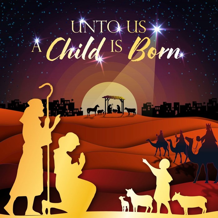 Jesus Is Born Christmas Cards
