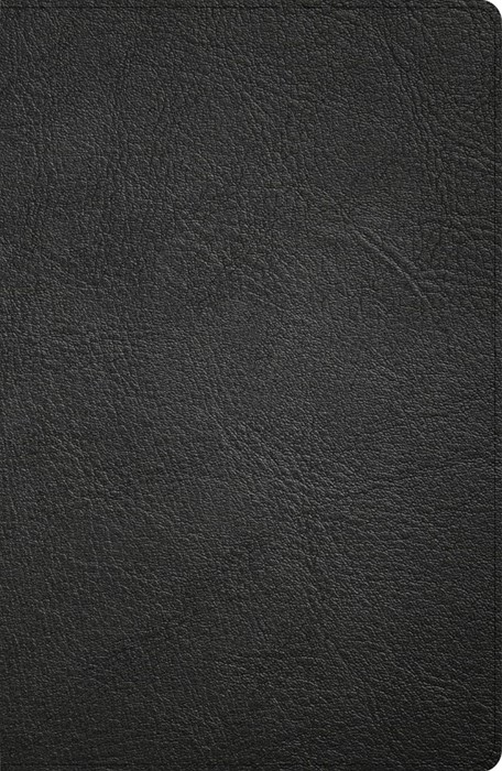 CSB Large Print Personal Size Reference Bible, Black