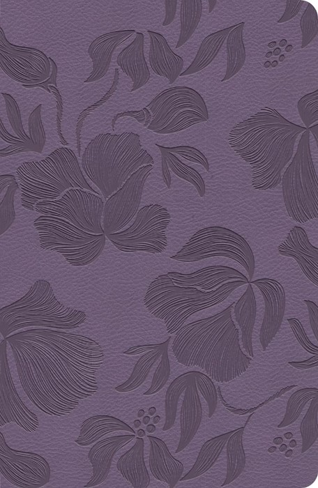 CSB Large Print Personal Size Reference Bible, Purple