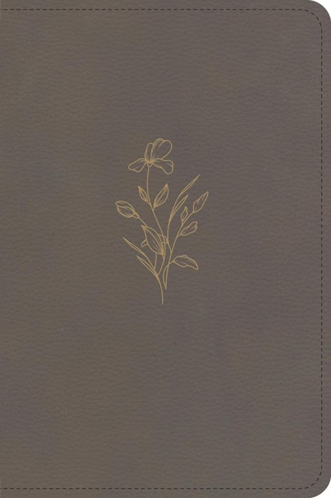 KJV Large Print Compact Reference Bible, Clay