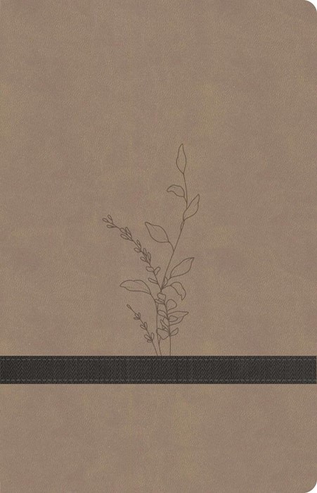 KJV Large Print Personal Size Reference Bible, Earthen Suede