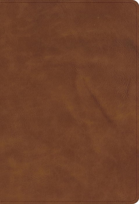 CSB Personal Size Bible, Zipper Closure, Tan Calfskin