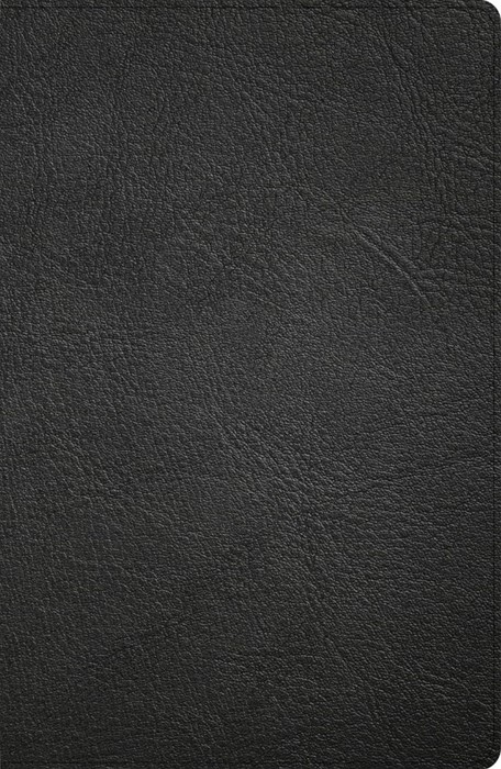 CSB Large Print Personal Size Reference Bible, Black