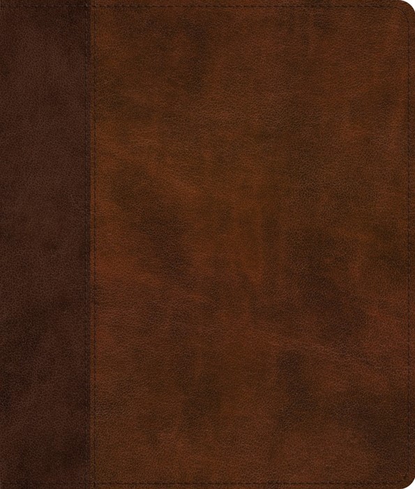 ESV Journaling Bible, Red Letter, Brown/Tan