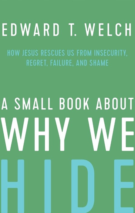 Small Book About Why We Hide