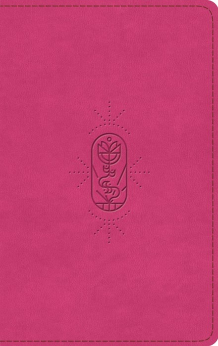 ESV Kid's Bible, Thinline, Red Letter, Berry