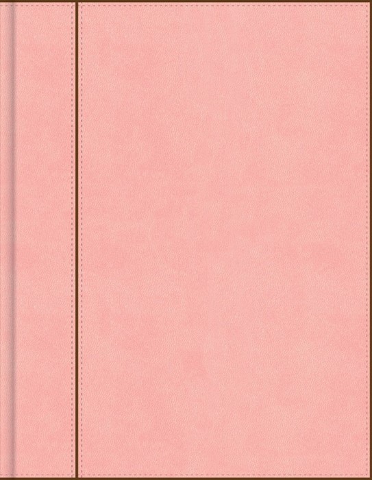 CSB Notetaking Bible, Pink Leathertouch