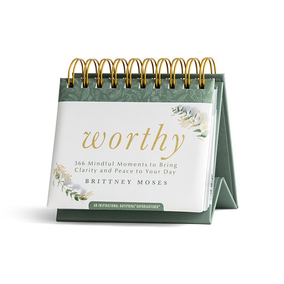 DayBrightener: Worthy - 366 Mindful Moments