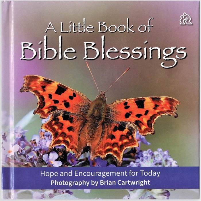 Little Book of Bible Blessings