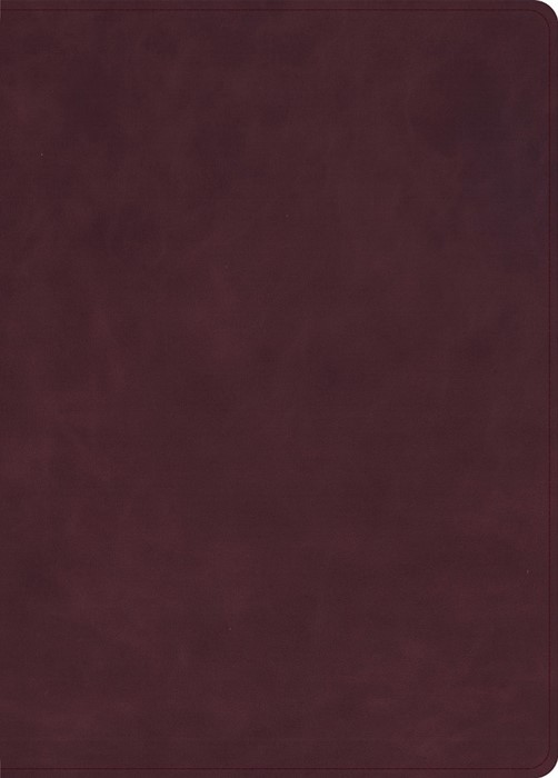KJV Single-Column Wide-Margin Bible, Marbled Burgundy
