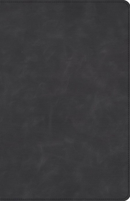 CSB Large Print Personal Size Reference Bible, Slate