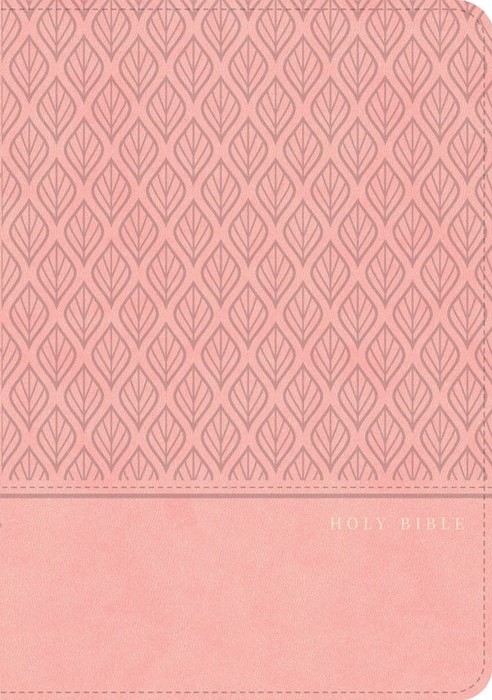 CSB Personal Size Giant Print Bible, Digital Study Ed., Pink