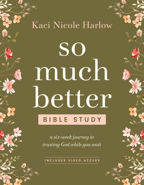 So Much Better Bible Study with Streaming Video Access
